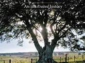Book Review: Splendour Tree