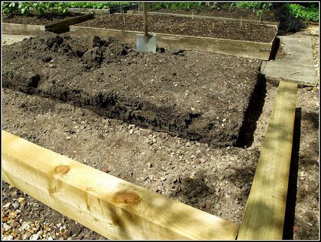 Building another raised bed