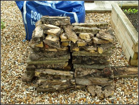 Building another raised bed