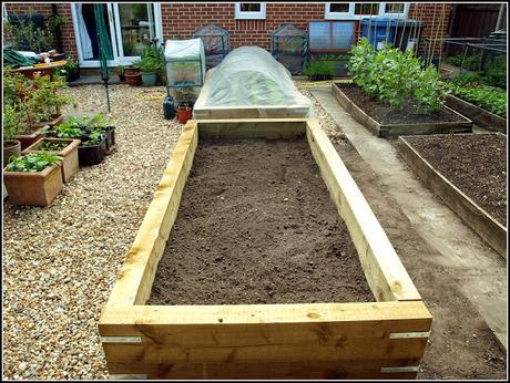 Building another raised bed