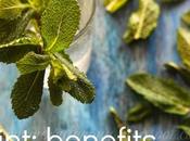 Mint (Pudhina): Benefits: Include Your Diet: Tips Weight Loss: Recipes Ideas
