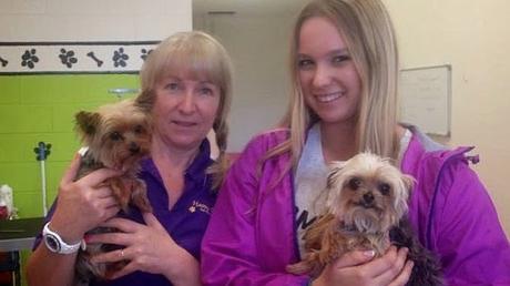 Pirates of Caribbean hero John Depp's terriers in trouble !