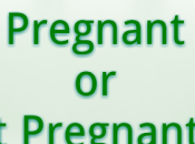 Test, Test Test. Expecting Bundle Joy???