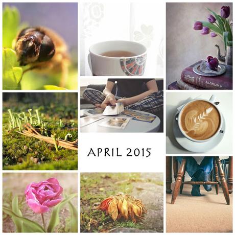 Month in Photos [April 2015]