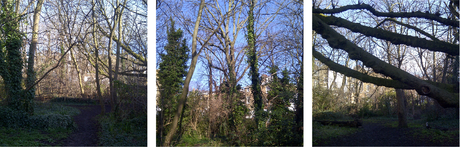 Off The Cally – Barnsbury Wood and Bingfield Park Off The Cally – Barnsbury Wood and Bingfield Park