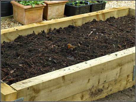 Home-made compost
