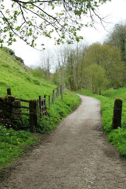 Happy Friday Links Happy Friday Links