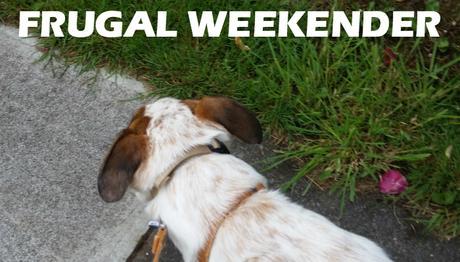 frugal portland frugal weekender