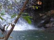 What Will Happen Low-Skilled Worker Self-Service Ecomony