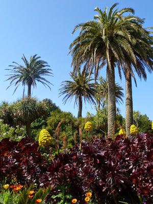 Abbey Gardens positively tropical