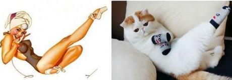 Top 10 Sexy Cats That Look Like 60s Pin-up Girls