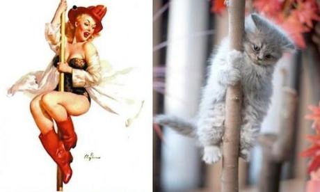 Top 10 Sexy Cats That Look Like 60s Pin-up Girls