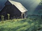 Tomorrow's Column Elder