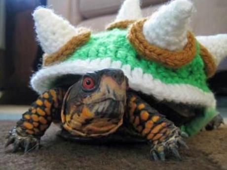 Top 10 Animals in Bowser Fancy Dress Costumes