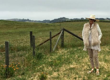 The Carneros  Inn Napa Valley ... and What I  Wore