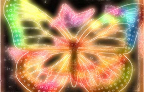 Butterfly Glowing © lynette sheppard