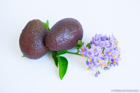 AVOCADO CHOCOLATE MOUSSE! Fitness On Toast Faya Blog Girl Healthy Recipe Food Nutrition Health Diet Dessert Indulge Chocolate Mousse Avocado Lighter Choice Tasty Delicious Treat