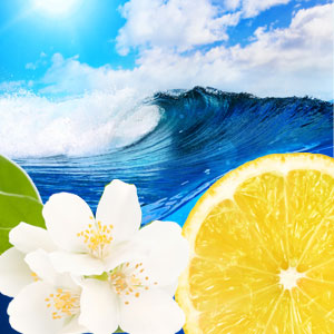 oceans fragrance