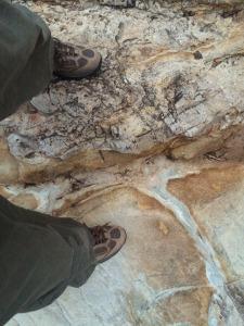 My right foot in the Ediacaran; my left in the Cambrian; 10 million years between my legs. © CJA Bradshaw
