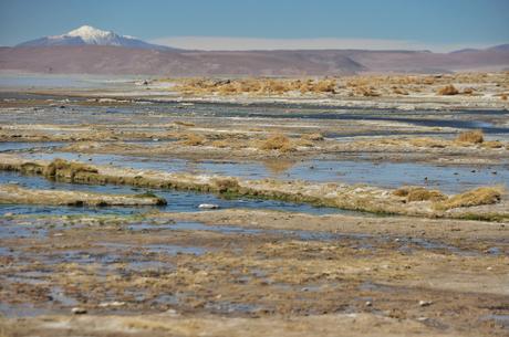 Another hot springs, though these ones have now been commercialized and charge to use. There were 30+ people in them when we went by as the jeeps had all stopped there for lunch.