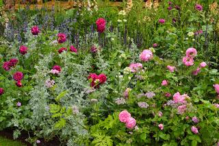 RHS Chelsea Flower Show 2015 - the damp one