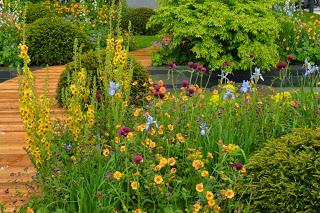 RHS Chelsea Flower Show 2015 - the damp one