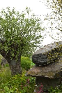 RHS Chelsea Flower Show 2015 - the damp one