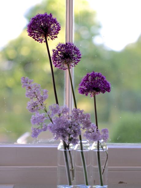 Alliums-and-Lilac