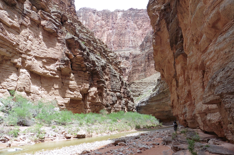 Day 55: Grand Canyon: Colorado River & Kanab Creek