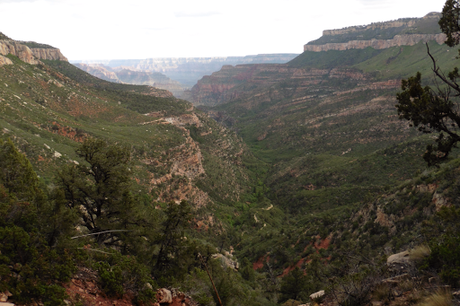 Day 52: Grand Canyon: North Bass Trail
