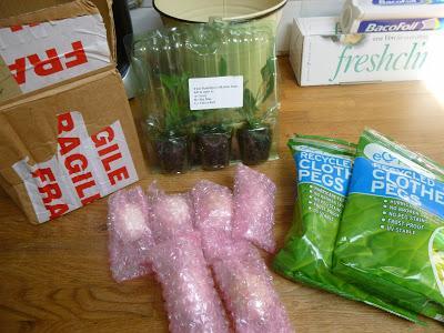 Unusual Deliveries Unusual Deliveries