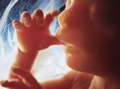 Medical Expert Confirms Unborn Children Feel Excruciating Pain During Abortions