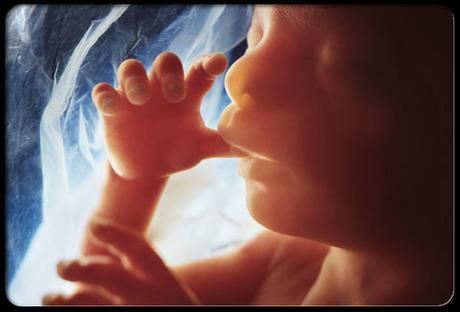 Medical Expert Confirms Unborn Children Feel Excruciating Pain During Abortions