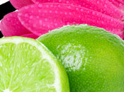 Pink Lime Scent