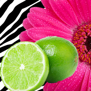 hot pink lime scent