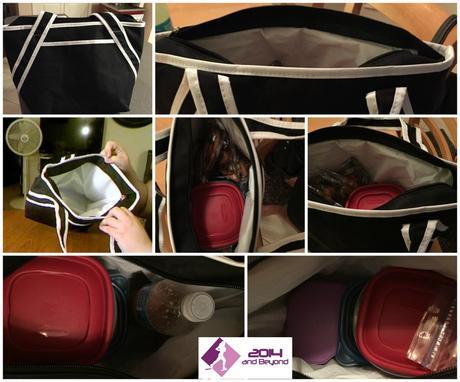 Hydracentials On the Go Lunch Tote Review