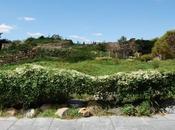 Irish Hunger Memorial, York City,