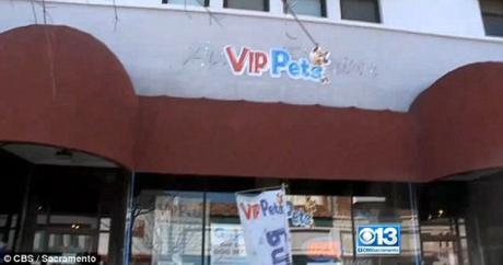 VIP Pets