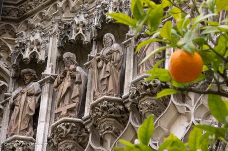 Orange trees at Seville Cathedral