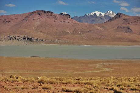 One of the many lakes throughout the region. They all gave salt crusted along the edge so we couldn't drink from them but there were no shortage of small streams around so it wasn't a problem.