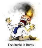 stupid-burn-the