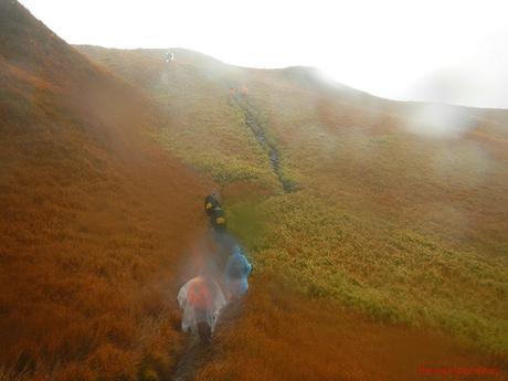 Mt. Pulag Akiki Trail