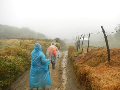 Mt. Pulag Akiki Trail