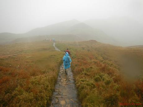 Mt. Pulag Akiki Trail