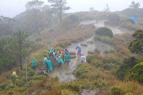 Mt. Pulag Akiki Trail