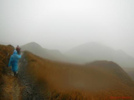 Mt. Pulag Akiki Trail