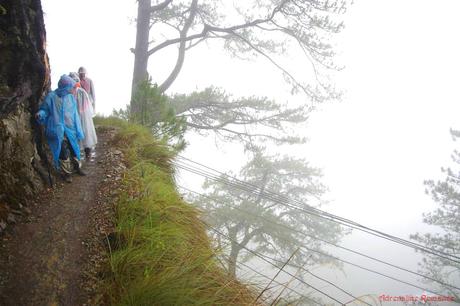 Mt. Pulag Akiki Trail