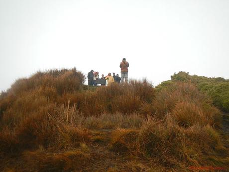 Mt. Pulag Akiki Trail