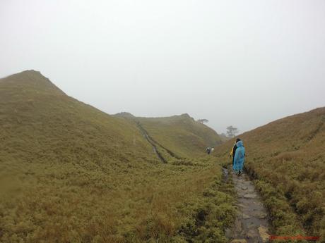 Mt. Pulag Akiki Trail