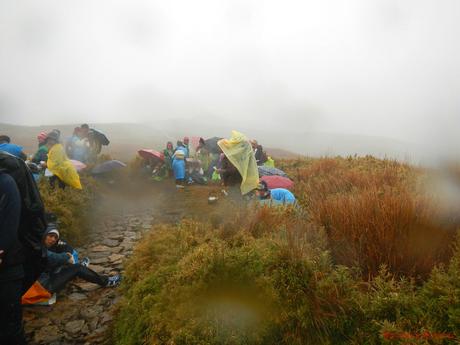 Mt. Pulag Akiki Trail